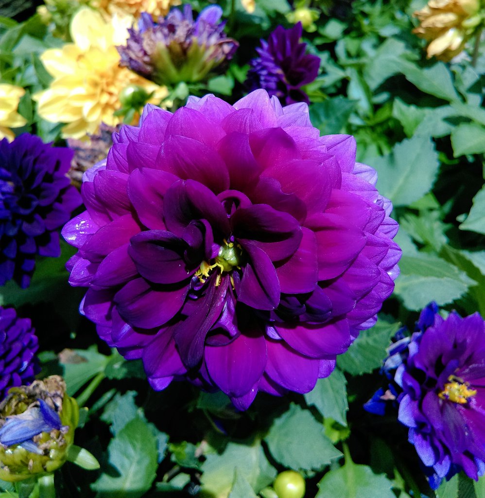 “<a href="/HouriaGouri/">papillon déplié</a>: A mes amis avc le souhait d'une bn jrnee, ”<a href="/merci/">Merci Grace</a>