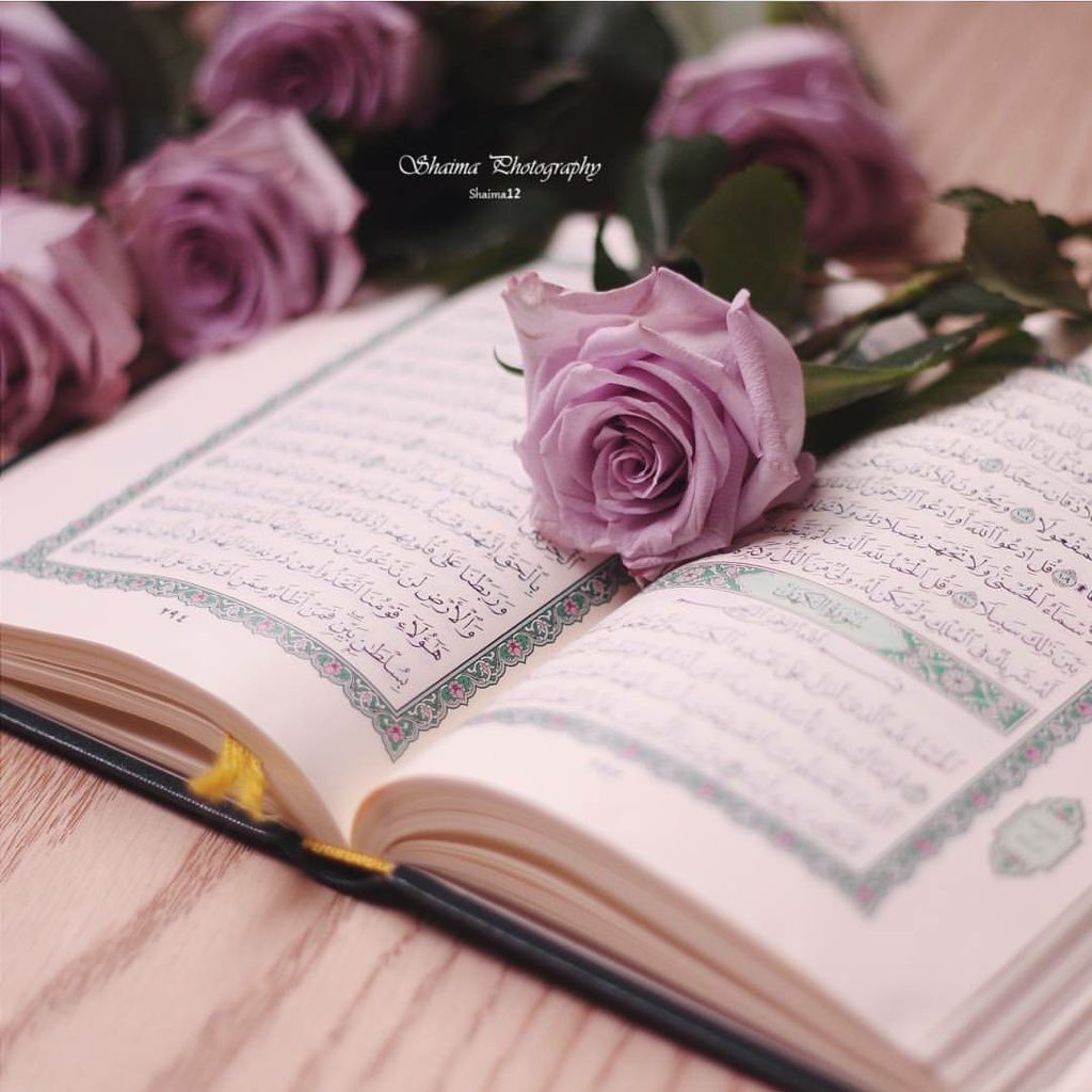 أكثروا من الصلاه على النبي في يوم الجمعه
#اللهم صل وسلم على نبينا محمد وعلى آله وصحبه أجمعين .
،

#يوم_الجمعه
#سوره_الكهف