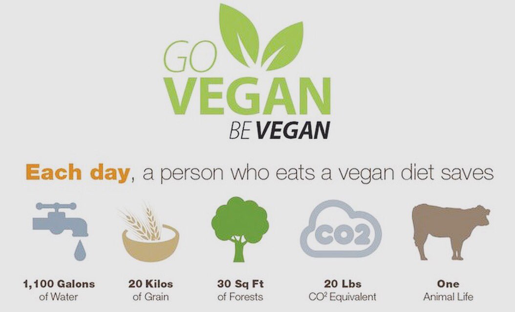 Why I’m vegan! #vegan