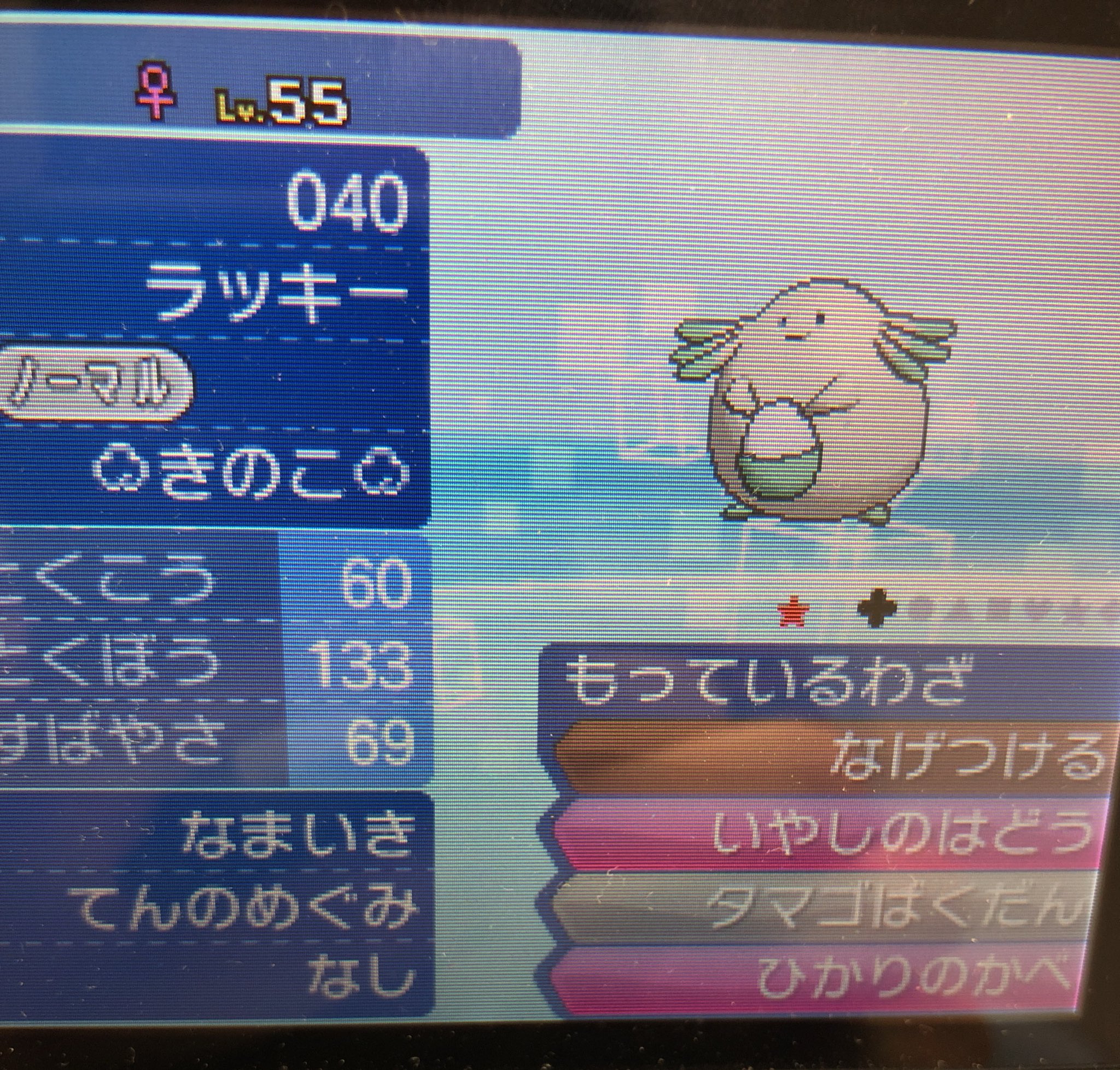 きのこ ポケモンわかば V Twitter ポケモン配布 毒々しい性格一致 生意気 色違いラッキー 努力値未振り 応募方法はフォロー リツイート リプお願いしますm M ポケモンウルトラサンムーン ポケモン配布 T Co Pajbz3dqov Twitter