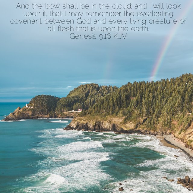 Gary_Wimberly's tweet photo. God put a rainbow in the clouds to remind Himself of His promise to us. God gives Himself & us reminders of His promises. Are you looking for them? https://t.co/hgXgHWvXLN. #HisWordIsAlive https://t.co/Hvjqm9OcFW