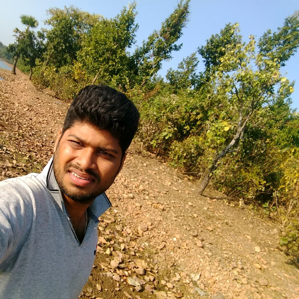 Midnightmafia1's tweet photo. #mitha-aam https://t.co/LcySidcyuh