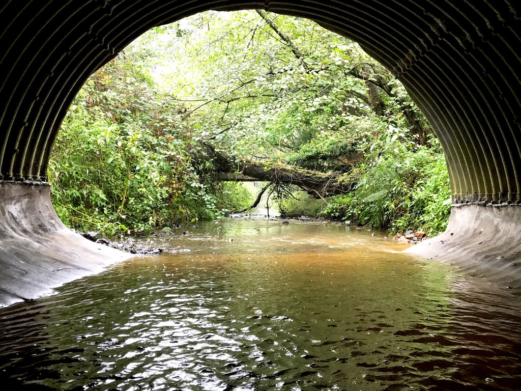 _ConcreteCanvas's tweet photo. Our first #new #casestudy of 2018 is a #culvertlining project from #CooksBridge, #WestSussex. The culvert was situated under a highway and in desperate need of remediation - the team had to divert stream water to prevent premature hydration of the CC:  https://t.co/DZBc2zLo53 https://t.co/Cyy647VZDv