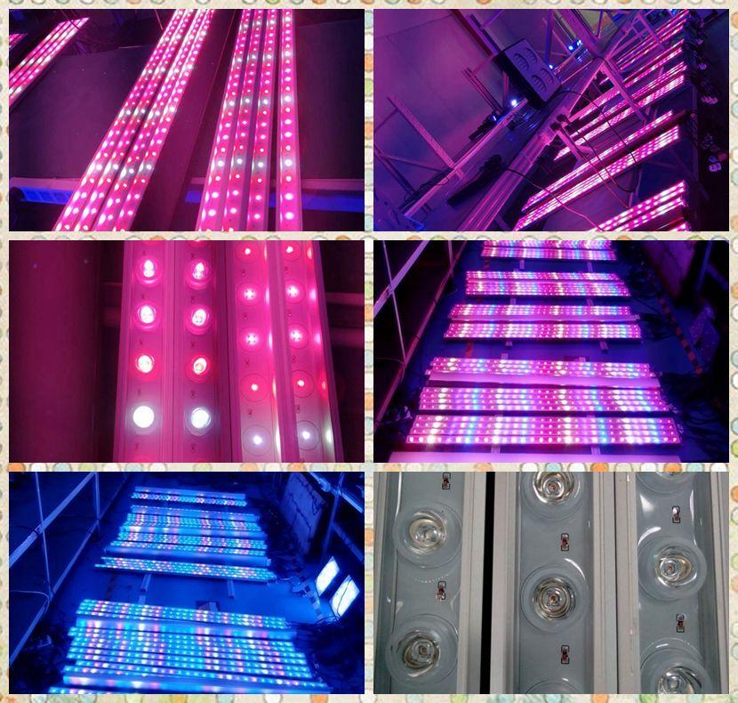 CTLiteTech's tweet photo. #LEDBars #Verticalfarming #hydro #hydroponics #Cannabis #Marijuana #CBD #growyourown 😝😝😝😝😝😝😝 https://t.co/ekaluGFAnn