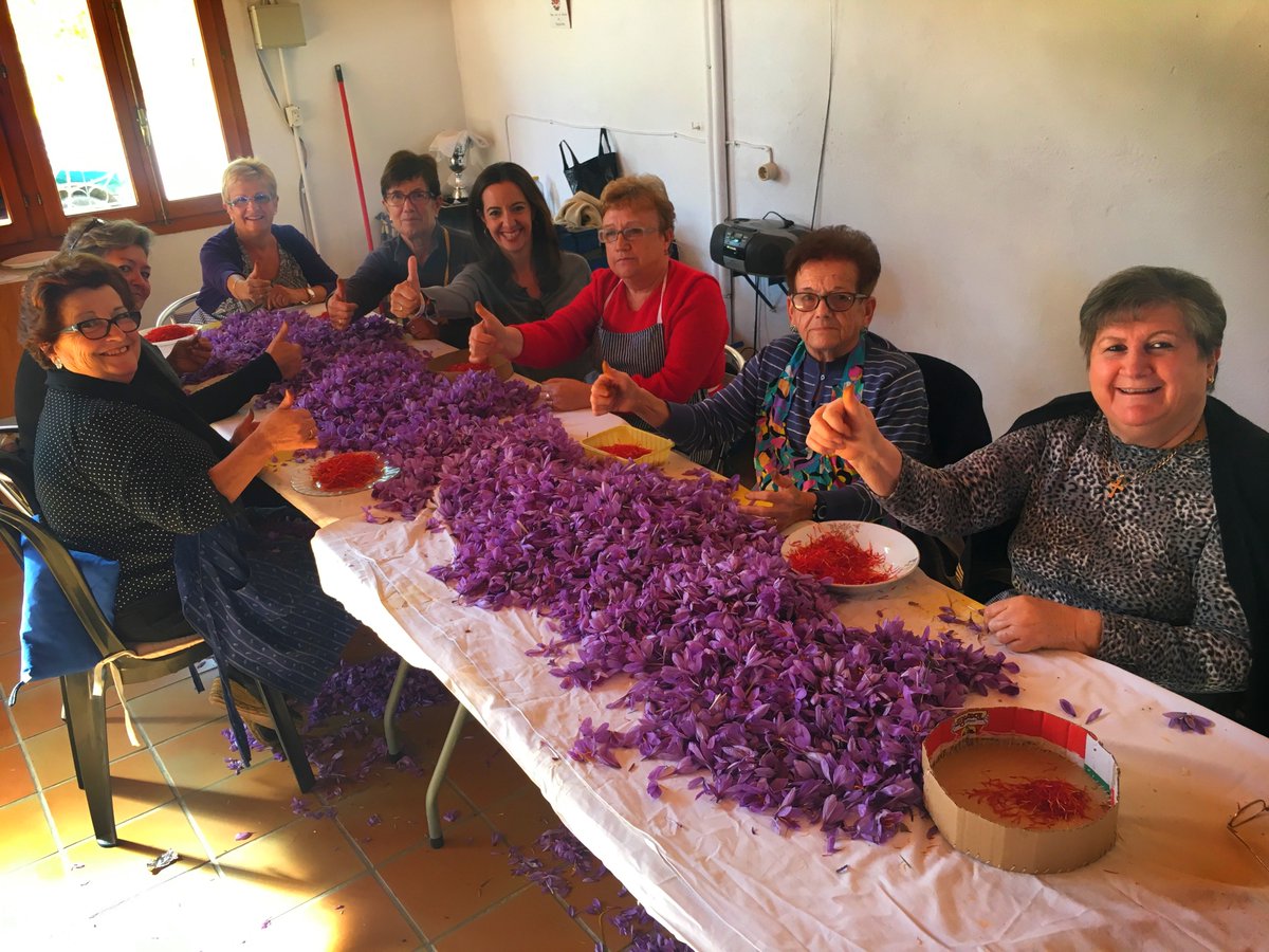 Mañana sábado a las 20,30 nos vamos con <a href="/CLMmegusta/">CLMmegusta</a> y <a href="/CMM_es/">Castilla-La Mancha Media</a> a la recolección del #azafrán para descubrir la #alimentaciondelfuturo. Gracias @Aoralife