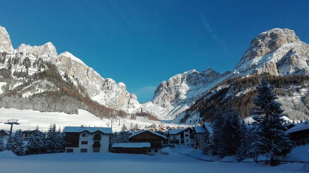 calfosch's tweet photo. #colfosco #colfoscoblogspot #dolomiti #altabadia #calfosch #sassongher #edelweiss #fotogluk #sudtirol #unesco https://t.co/9jjYr2vqKj https://t.co/55v2Mwijew