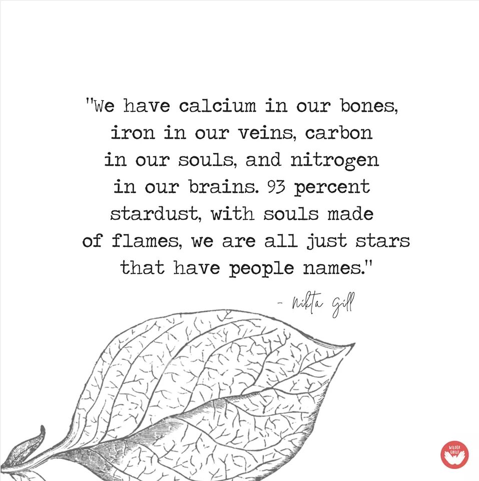 Pete Fillery ×××××××¨ We Have Calcium In Our Bones Iron In Our Veins Carbon In Our Souls And Nitrogen In Our Brains 93 Stardust With Souls Made Of Flames We Are