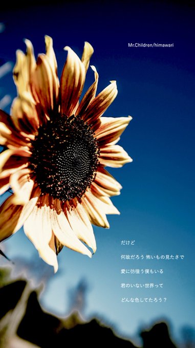 Masaya Mcf365 全年01月05日 Twilog