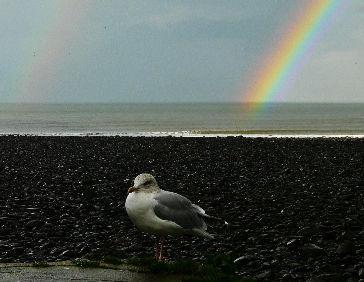 holnicoteNH's tweet image. There's a beach for every everyone and for every mood!