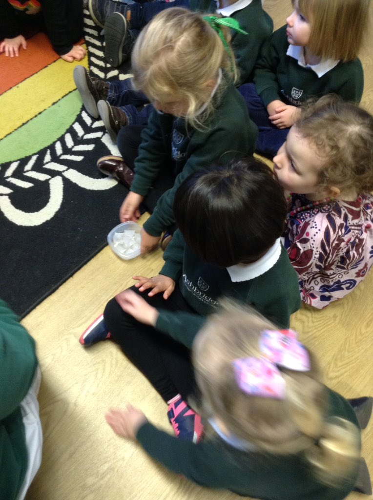 AshbridgeBadger's tweet photo. We have been exploring the ice and guessing what will happen to it ❄️ @ashbridgeschool @AshbridgeOwls #iceexploration #Science https://t.co/9djzyQrflb