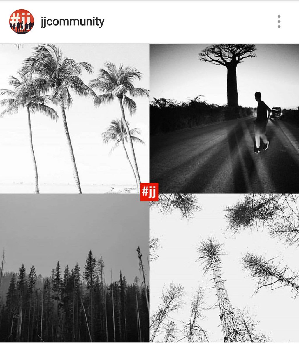 My photo bottom right featured on <a href="/tagitjj/">JJ Community</a> Instagram page for the 'tree' theme. #daymade