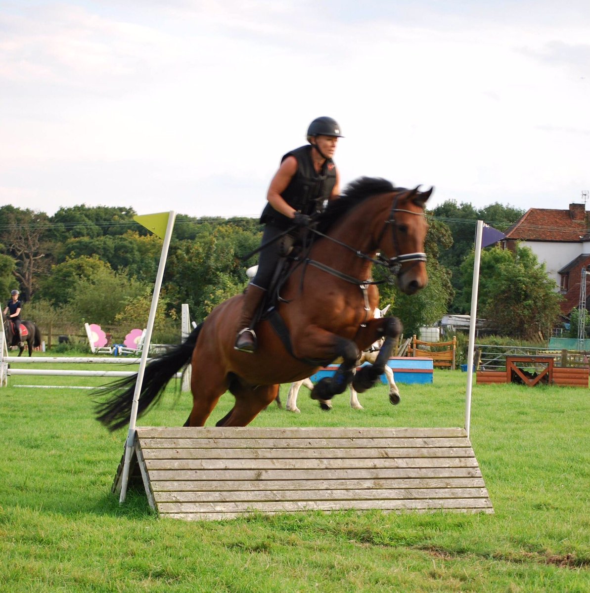 SBArenaEventing's tweet photo. Excited for this years Arena Eventing Series! Dates will be posted on website soon. https://t.co/6rC9EIT2Fy #sbarenaeventing #arenaeventing #showjumping #crosscountry #sunshinetour #datesfor2018 #unaffiliated #horsesofinstagram #eppingforest @WoodredonEC https://t.co/FbWtpCrBbp