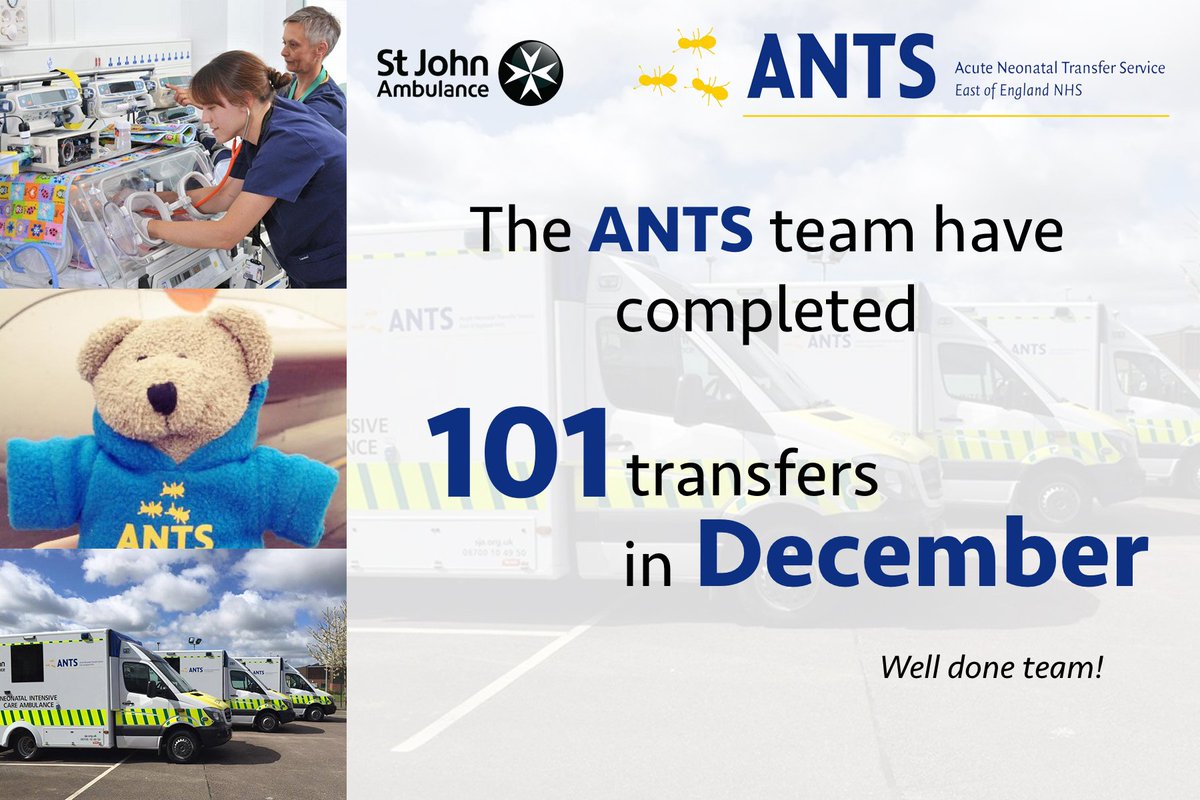 ANTS 🚑 tweet media