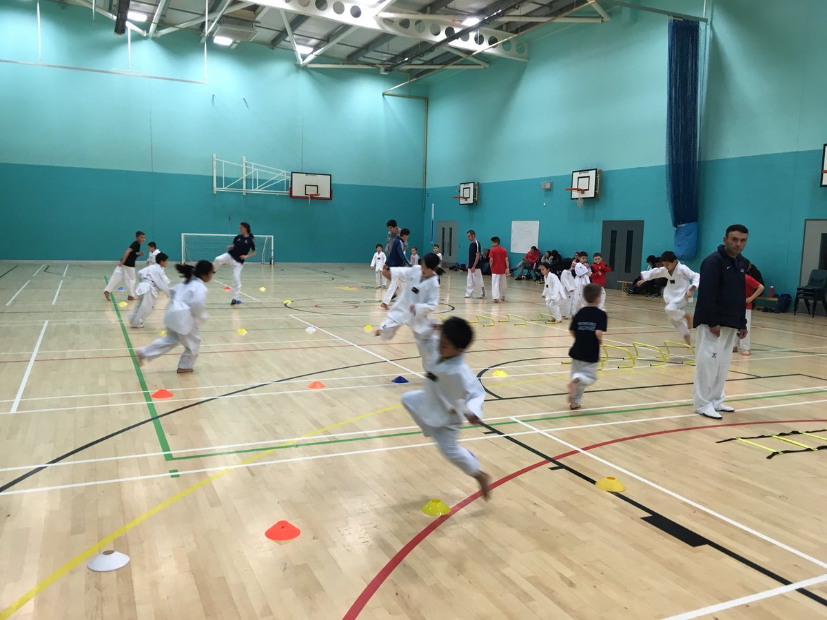 professional archery bow