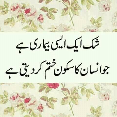 wani shafat (@wshafat121) on Twitter photo 