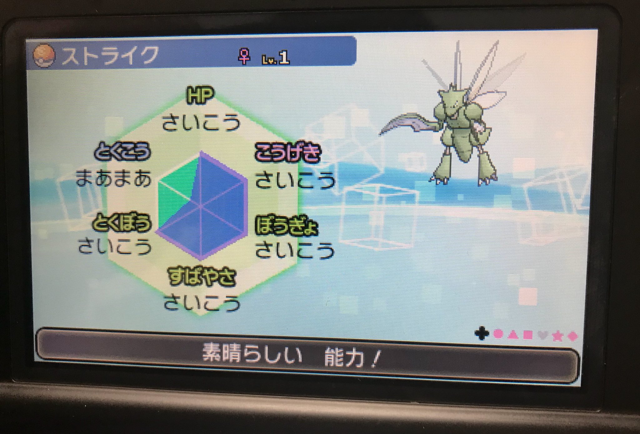 ルル ガラル帰還 出 コンペボール入りメタルコート持ち5vストライク いじっぱり わんぱく しんちょう ようき選べます 求 ずぶといorのんきトレースポリゴン2 アップグレード持ちポリゴン Or しあわせたまご 他提案あれば ポケモン交換 ポケモン