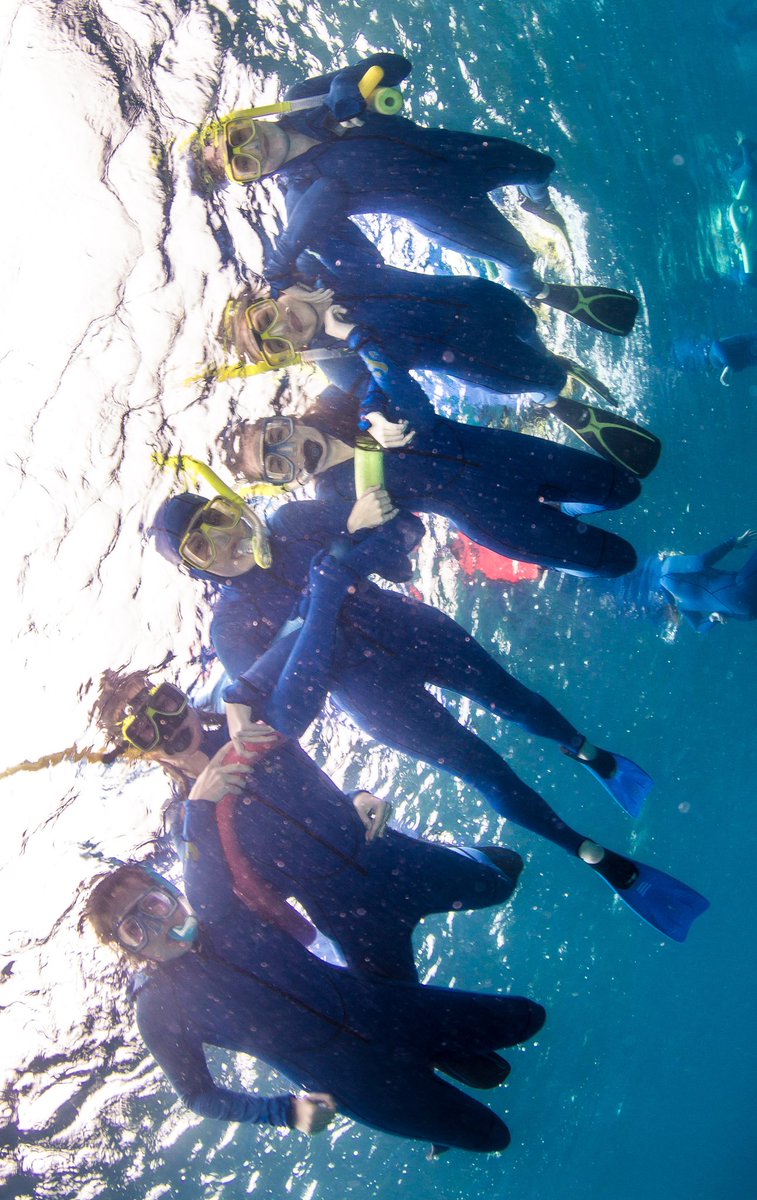 Snorkelling at the great barrier reef was amazing! #personaldevelopment #greatbarrierreef #awesome