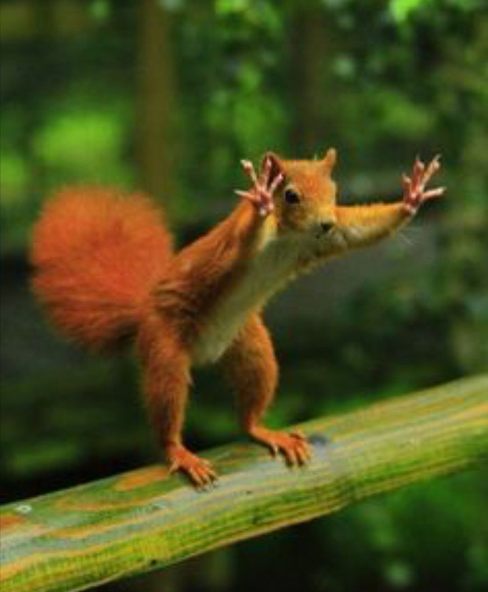 that #FridayFeeling because tomorrow is #parkrunday #dfyb