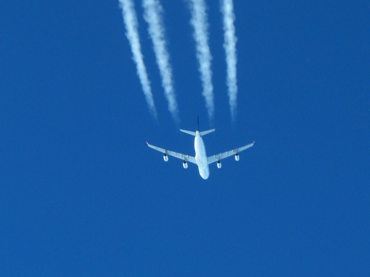 #CoffeeCups #scalding #flights *Does anyone have experience with being scalded by hot food or coffee or tea service when flying? Would you like to speak with Consumers also affected? How about flight-crew? It would be good to get you together as some would like to campaign!*