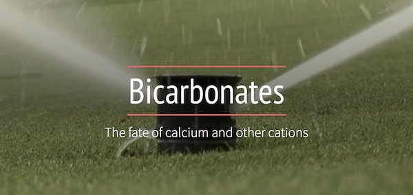 Solutions4Turf's tweet photo. #TBT taking a look at bicarbonates and the fate of calcium in the soil. Have bad water? This is a great short read with some solutions. https://t.co/ot1eAW9lFQ https://t.co/4LjvjKGs9P