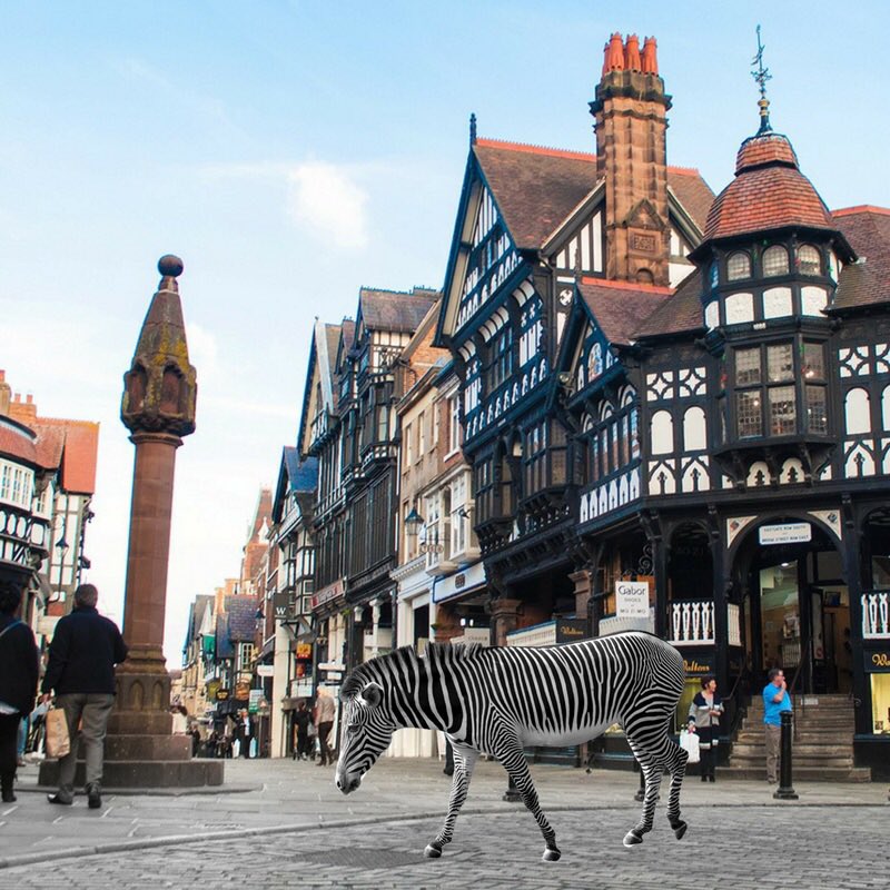 mascotFBM's tweet photo. #CompetitionTime! 

It’s that time again! Where’s Fifi?

For a chance to win a #Fieldbounce ticket all you’ve got to do is:

1. Follow @fieldbounce 
2. #Retweet this post 
3. Comment where you think Fifi is

#WheresFifi #Fieldbounce #Competition #giveaway #Cheshire #Manchester https://t.co/2QYcbsKogc
