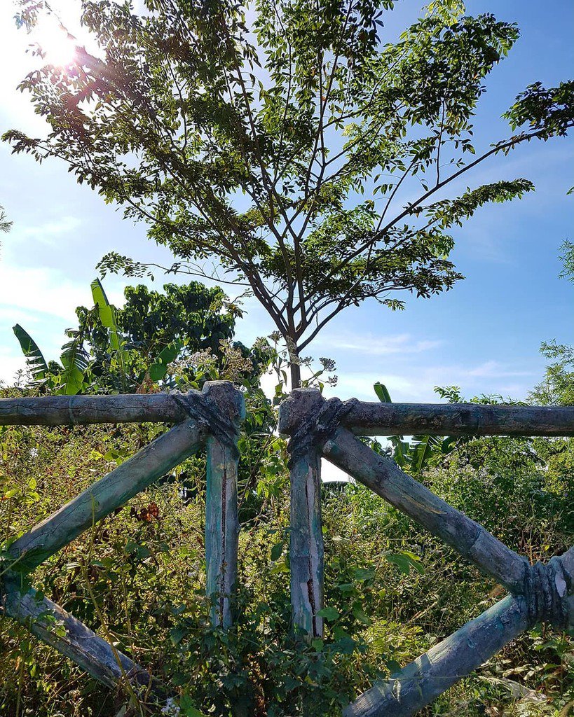 livegoodforlife's tweet photo. Nabuklod Mountain..
#pampanga #floridablanca #mountain #nature #philippines #firstromanianintaygaytay #officialphotoandtips #greentrees #photographyeveryday #photography #photophilippines #photoph https://t.co/bC6661Gt61