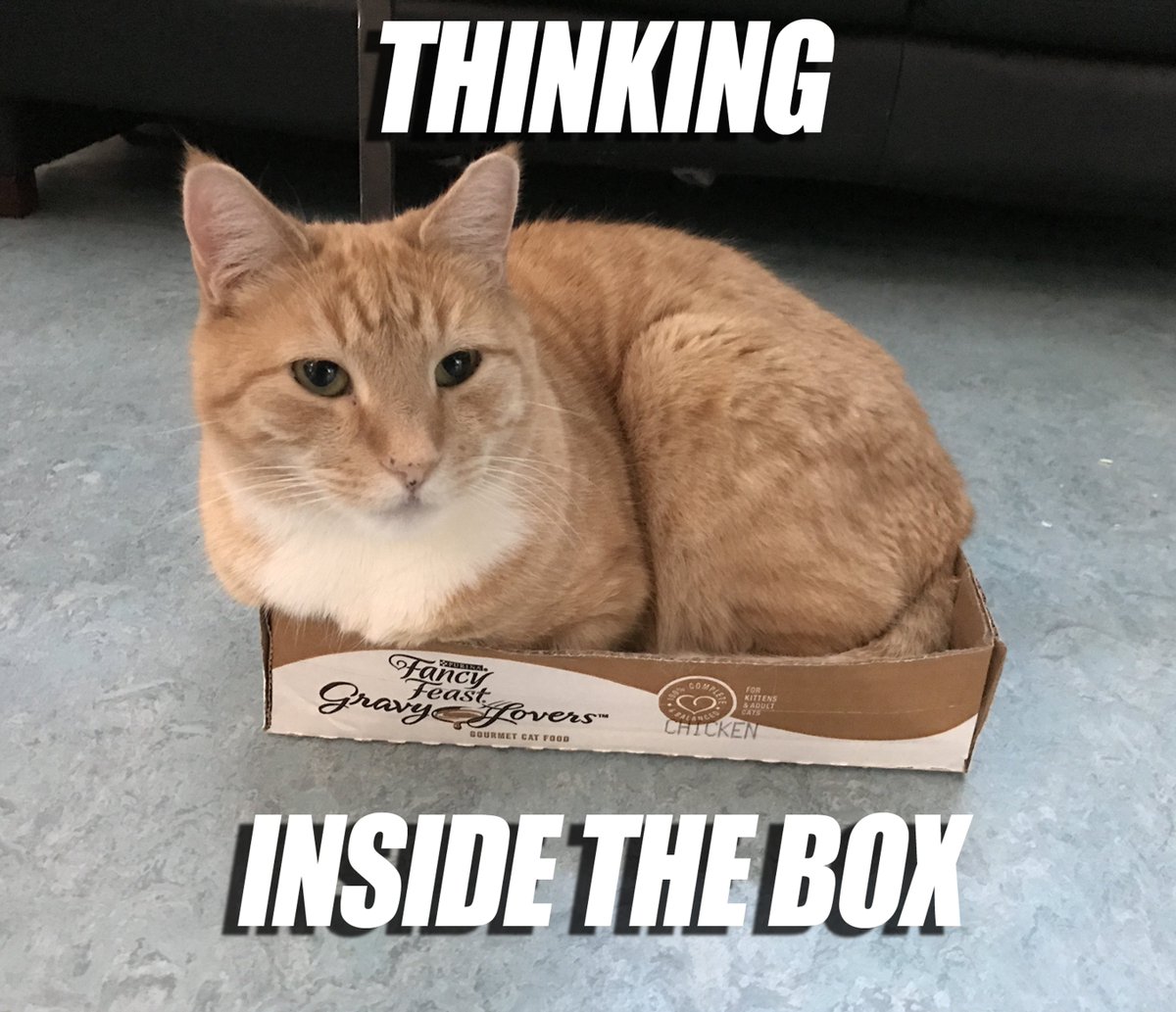 charlie schmidt (@chuckieart) on Twitter photo 