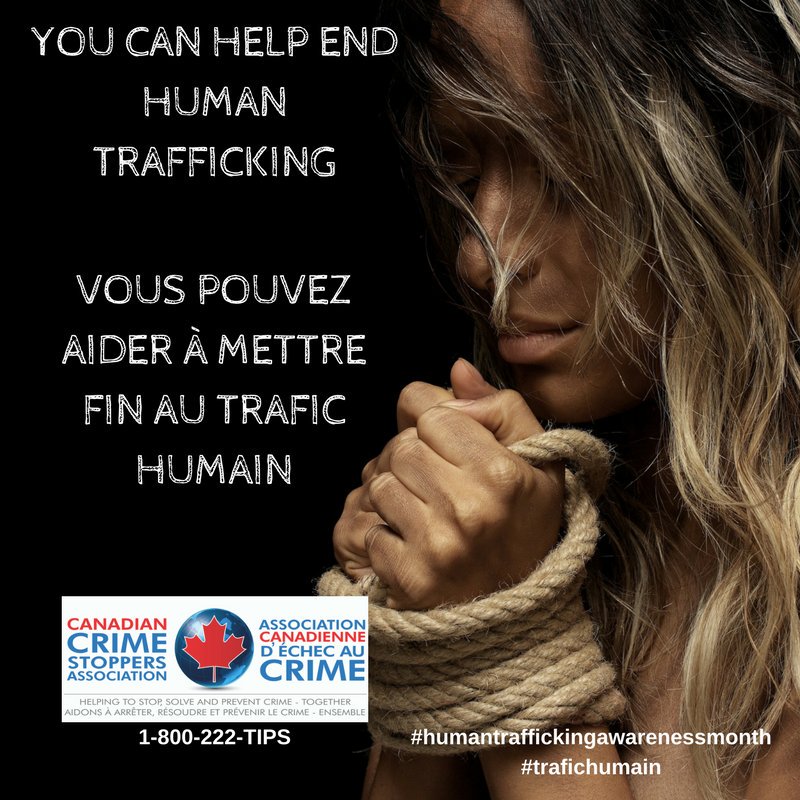 Crime Stoppers 🇨🇦 tweet media