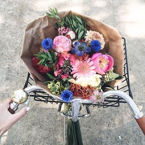 Tus sueños no tienen fecha de caducidad respira hondo y sigue. 🌻🌼 #GamaBikes