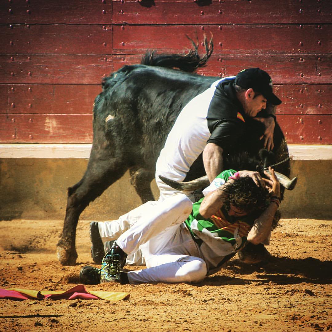 Pues tanto que se está hablando de ése hermano que protege al otro, aquí tenemos al gran Chipu salvando a un recortador que no era ni familia...