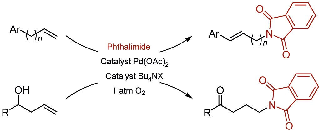 NatureChemistry's tweet photo. Palladium-catalysed anti-Markovnikov selective oxidative amination to generate terminal carbon–nitrogen bonds from alkenes https://t.co/fX5hzyU2Ff ($) https://t.co/7RdMXTIfr0
