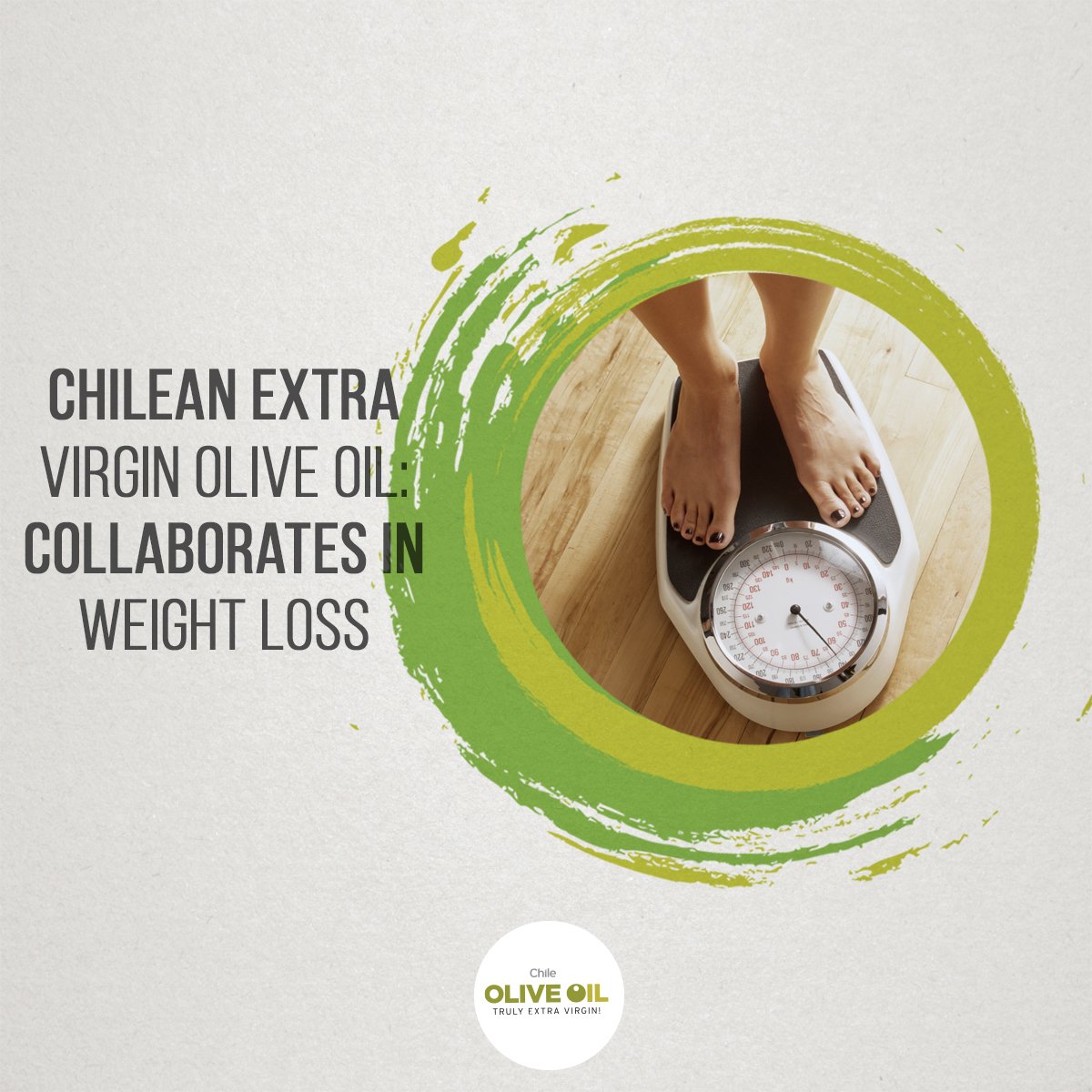 ChileOliveOil tweet media