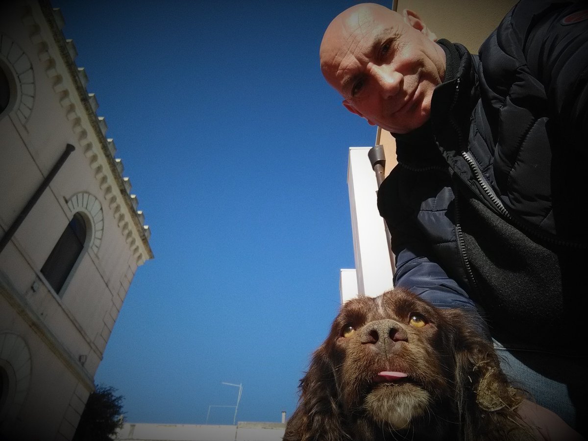 Antonio_Pio_'s tweet photo. Prima o poi, farò un libro di tutti gli “OCCHI RANDAGI” che incontro - Vedere il cambiamento da occhi spenti di un cane abbandonato con occhi che ritornano a vivere non ha prezzo - Perché non basta Amarlo, ma è fondamentale capirlo #dogtrainer #dogprojects #lesinaemarina4zampe https://t.co/sEVUvCi1lU