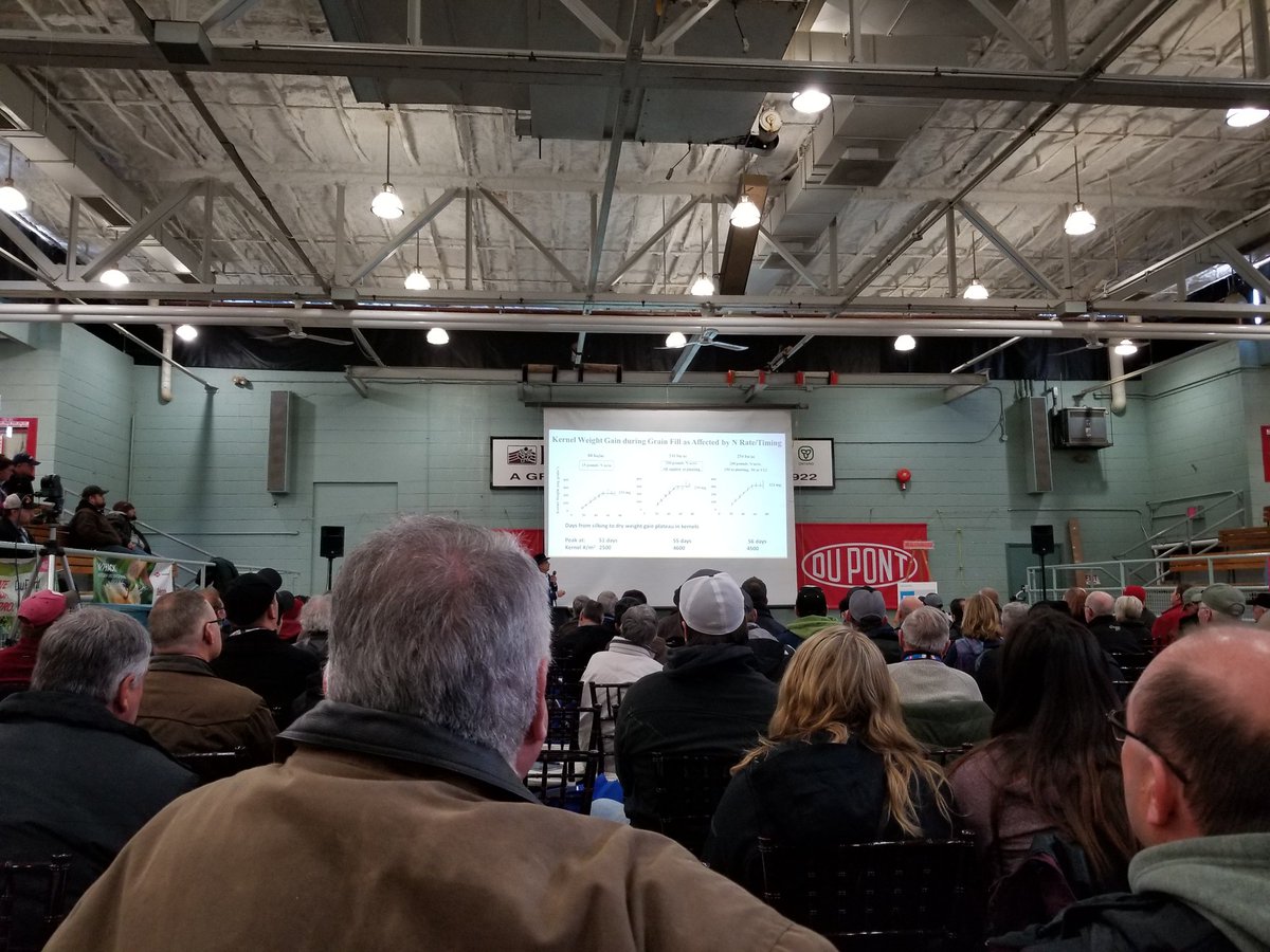 VanDeVelde_Ag's tweet photo. Appropriate timing of second N application is critical to get bigger kernals (not necessarily more), and therefore bigger yields. #SWAC18 https://t.co/kN6W31z9q5