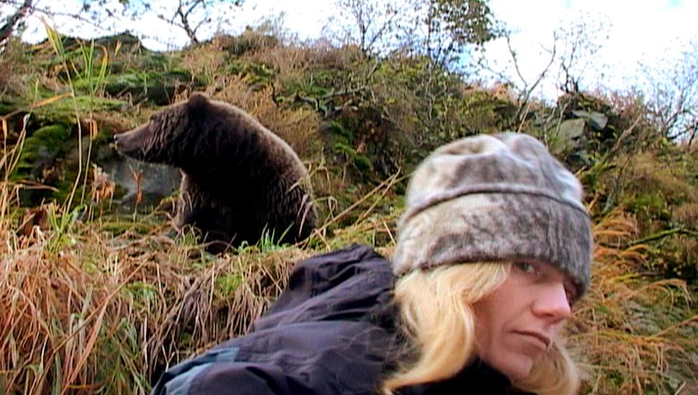 приснился медведь бурый. во сне приснился медведь. к чему снится медведь нападающий на человека. бурый медведь нападение. приснился медведь к чему.