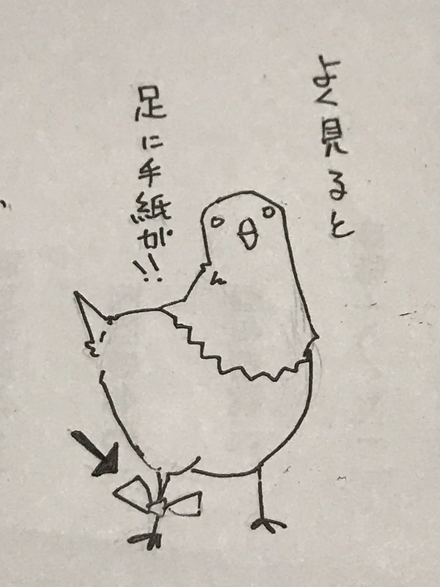 某お菓子メーカーの伝書鳩？ww正月に会社で見つけたハトが幸せ運んできたww