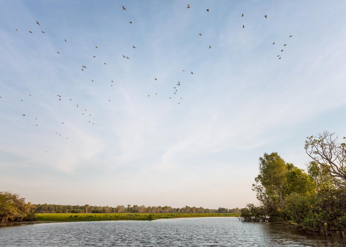 These views make @AusOutbackNT ‘s largest national park a must visit destination ow.ly/NLbQ30f1b04 via <a href="/CNNTravel/">CNN Travel</a> (photo by Jeff Calhoun)