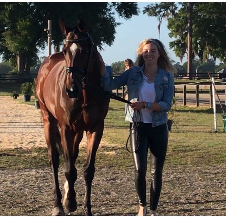 #TBT to shiny horses and leather pants in the sunny south ☀️ #OroVeradero #TheSunnySouth #OcalaCCI #nofilterneeded