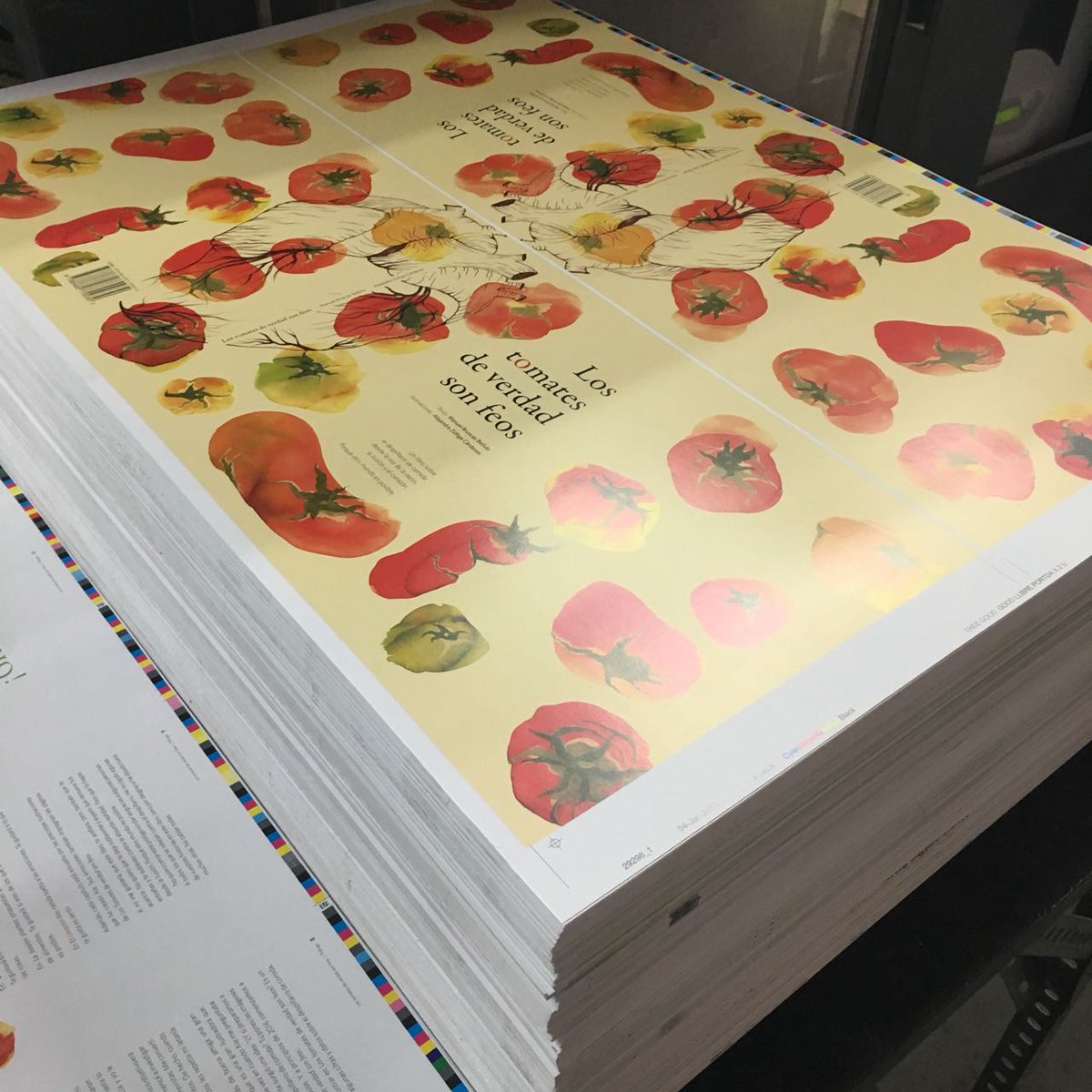 Hoy estuvimos en la imprenta para la entrada de máquina del libro! Aprobamos color y hablamos de otros detalles. Ha sido espectacular estar ahí entre el sonido de las máquinas en funcionamiento, una sinfonía.