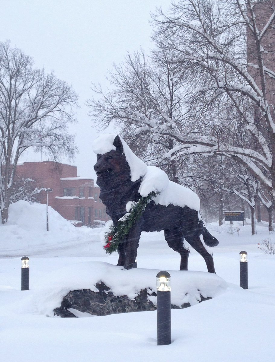 Michigan Tech On Twitter Even Blizzard Is Wearing His Winter Coat Today Huskies Winter
