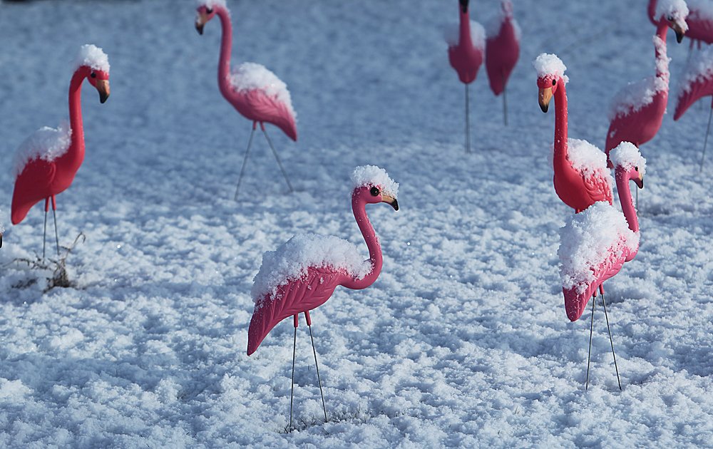 Pinnacle Advertising tweet media