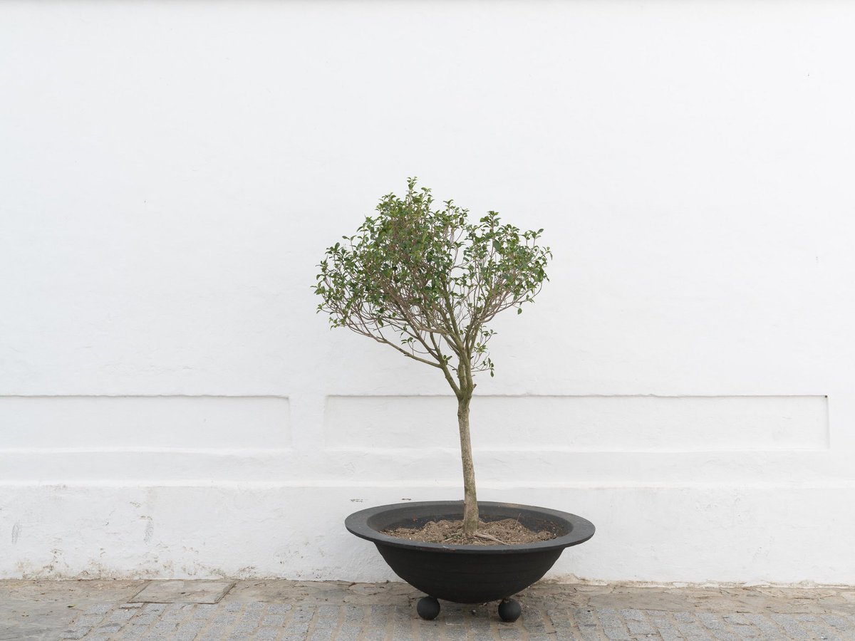 The Getaway Edit tweet media