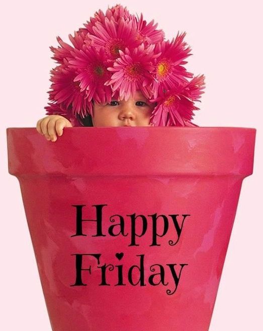 CityOfFlowersMV's tweet image. You made it! One week down 51 to go...#firstweekoftheyear