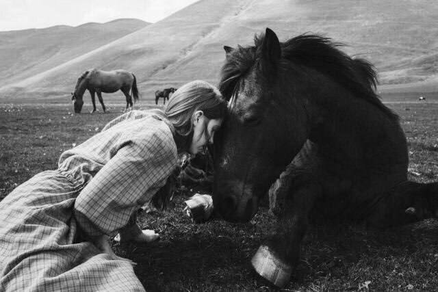 واشتعل القلبُ شوْقاً !