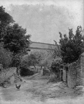 wcookworthy's tweet photo. for #NationalBirdDay here are photographs from our collections featuring local villages. can you spot the 'free range' chickens. Photos here show #Beesands, #Hallsands and either #Ringmore or #Bigbury (PS7536, P0735 & P1386u) https://t.co/dAYOX3r9aN