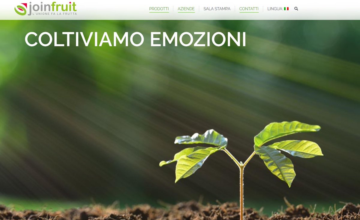 Stiamo lavorando al nostro #sito! Coming soon con alcune novità!
 #joinfruit