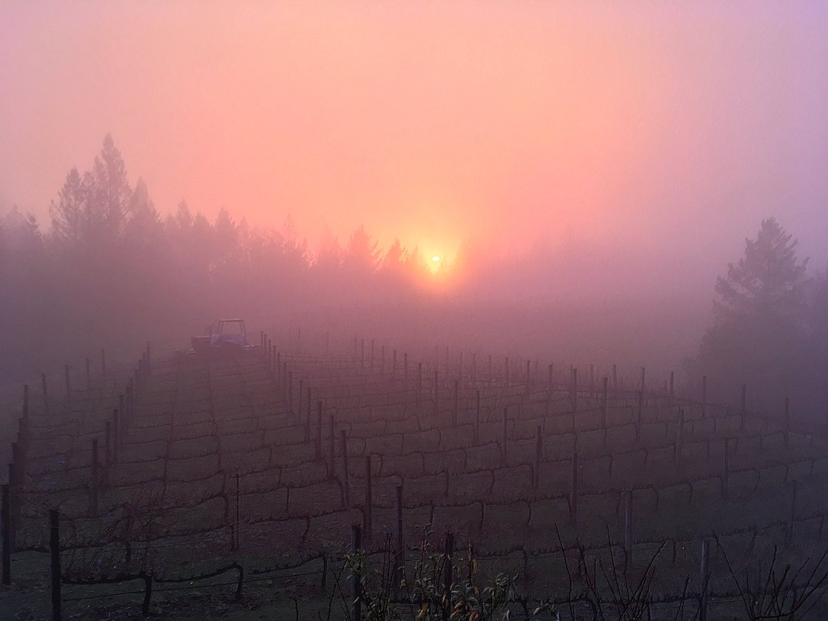 LagierMeredith's tweet photo. This morning the sun and the rain battled for supremacy #mtveeder #napavalley https://t.co/NSVCbx8PSM