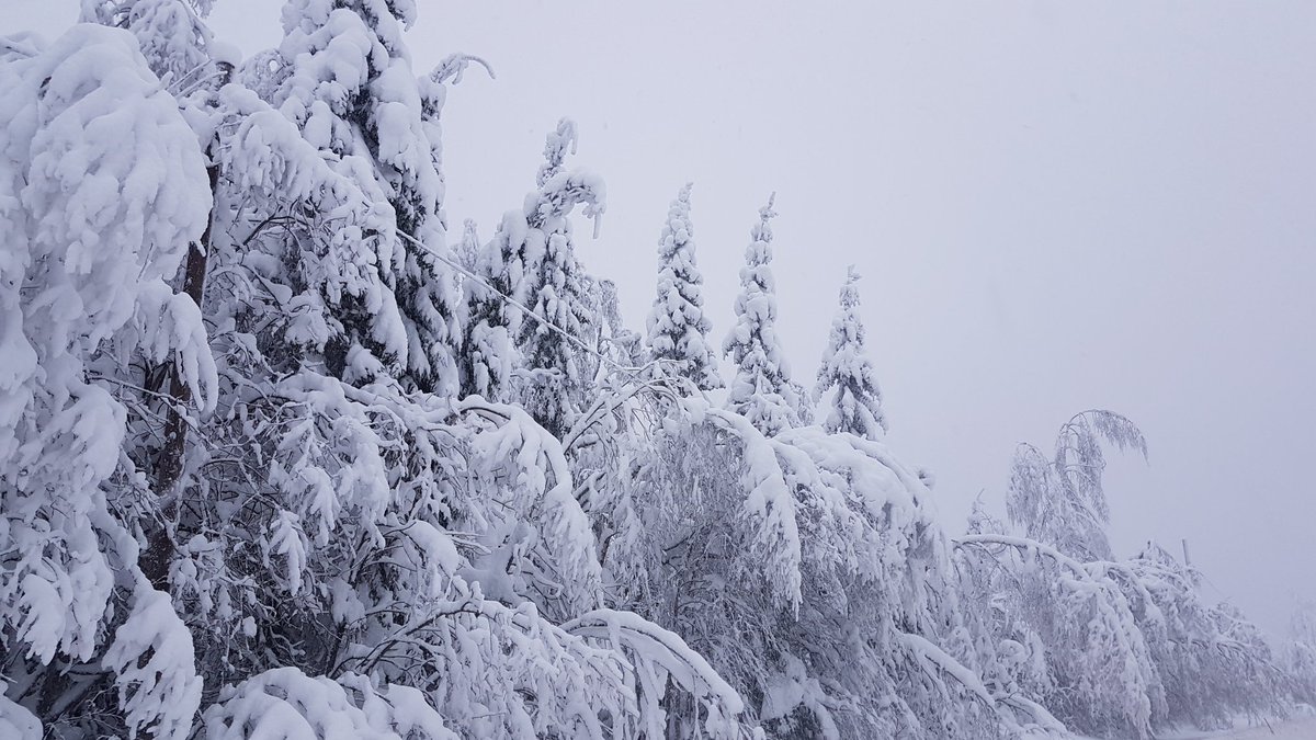 M_Pirttijoki's tweet photo. Viikonlopputehtävä: etsi kuvasta johto. #Kainuu #lumigate #tykkylumi #talvi https://t.co/pWjwORaB1P