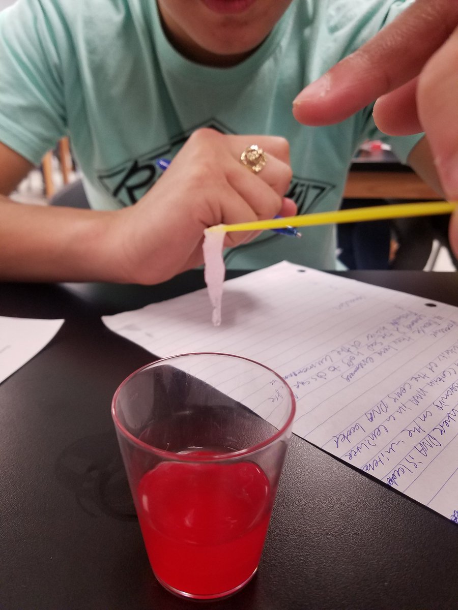 vmhsbiology's tweet photo. DNA Extraction #vmhspride https://t.co/on0GrRxMgd