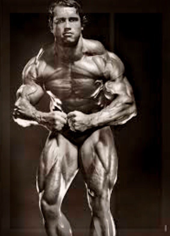 zeusathletic's tweet photo. ⚡️ #Zeus #fitness #GymPic #Results #Shredding #StrongIsSexy #Squats #Abs #Swole #Tone #GymRat #FitnessGods #Flex #SexyBeast #FitBodies #Model #FitnessModels #FigurePros #FitnessIcons #BodyBuilding #Competition #BodyBuildingCompetition #Figure #Muscles #FitFreak #ZeusFitness https://t.co/nPicEaHXr9
